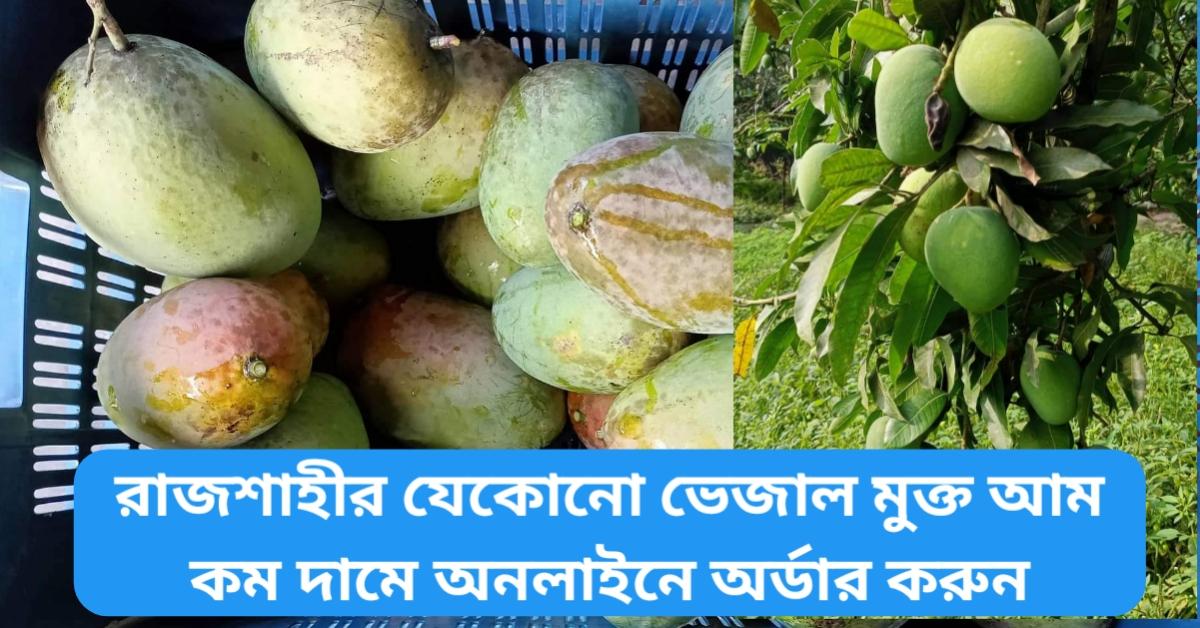 Buy Mango Online Bangladesh 2022