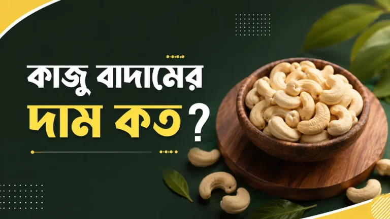 কাজু বাদামের দাম কত