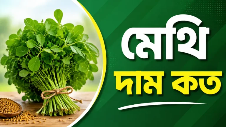 মেথি দাম কত